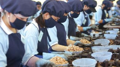 Tránh rủi ro cho hàng hóa xuất khẩu, cần kiểm tra kỹ thông tin đối tác