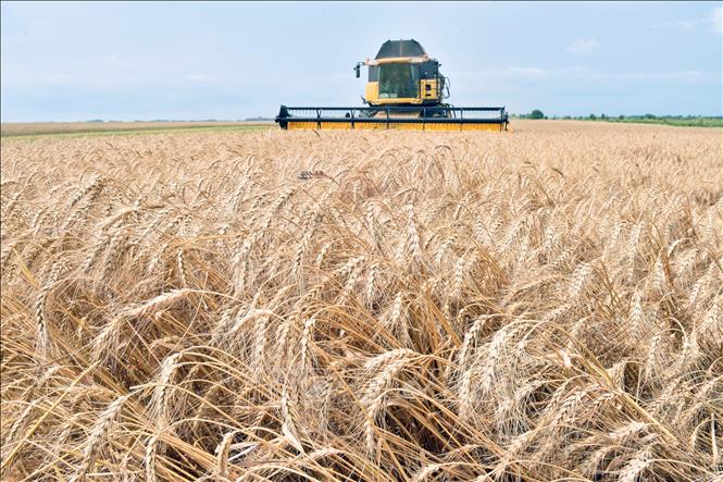Những nỗi lo bủa vây người dân Ukraine Những nỗi lo bủa vây người dân Ukraine