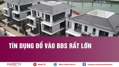 Tín dụng đổ vào BĐS rất lớn Tín dụng đổ vào BĐS rất lớn