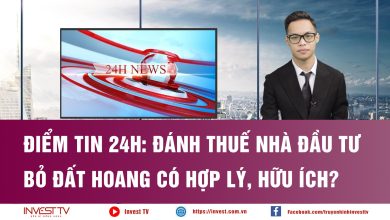Đánh thuế nhà đầu tư bỏ đất hoang có hợp lý, hữu ích? Đánh thuế nhà đầu tư bỏ đất hoang có hợp lý, hữu ích?