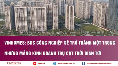 Vinhomes BĐS công nghiệp sẽ trở thành một trong những mảng kinh doanh trụ cột thời gian tới Vinhomes BĐS công nghiệp sẽ trở thành một trong những mảng kinh doanh trụ cột thời gian tới
