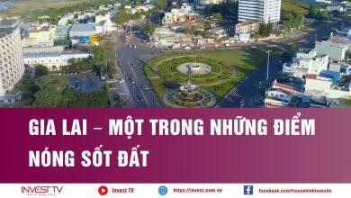 Gia Lai – một trong những điểm nóng sốt đất