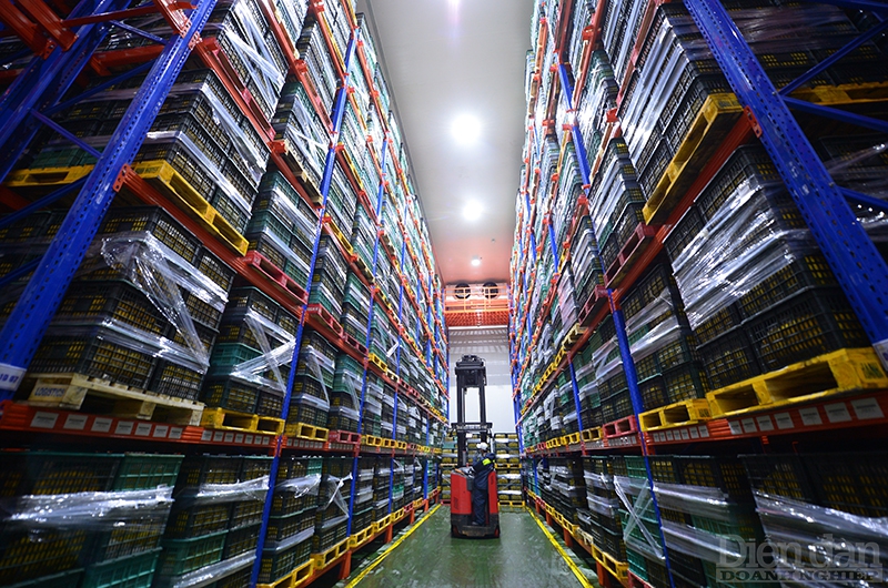 Logistics cho nông sản ĐBSCL: Cần cơ chế ưu đãi cho Trung tâm logistics vùng Logistics cho nông sản ĐBSCL: Cần cơ chế ưu đãi cho Trung tâm logistics vùng