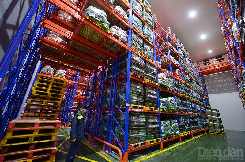 Logistics cho nông sản ĐBSCL: Cần cơ chế ưu đãi cho Trung tâm logistics vùng Logistics cho nông sản ĐBSCL: Cần cơ chế ưu đãi cho Trung tâm logistics vùng