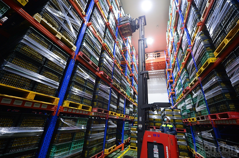 Logistics cho nông sản ĐBSCL: Cần cơ chế ưu đãi cho Trung tâm logistics vùng Logistics cho nông sản ĐBSCL: Cần cơ chế ưu đãi cho Trung tâm logistics vùng