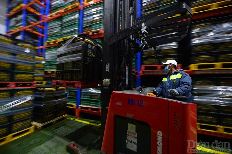 Logistics cho nông sản ĐBSCL: Cần cơ chế ưu đãi cho Trung tâm logistics vùng Logistics cho nông sản ĐBSCL: Cần cơ chế ưu đãi cho Trung tâm logistics vùng