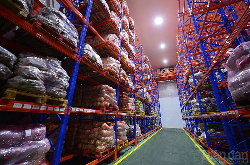 Logistics cho nông sản ĐBSCL: Cần cơ chế ưu đãi cho Trung tâm logistics vùng Logistics cho nông sản ĐBSCL: Cần cơ chế ưu đãi cho Trung tâm logistics vùng