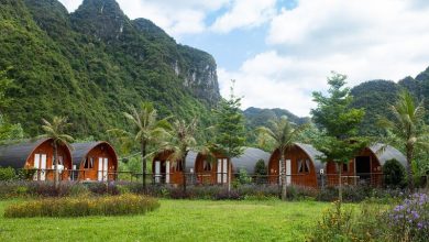 Thanh Hoá chấp thuận lập quy hoạch Khu Farmstay kết hợp đô thị Thanh Hoá chấp thuận lập quy hoạch Khu Farmstay kết hợp đô thị