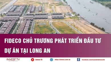 Fideco chủ trương phát triển đầu tư dự án tại Long An