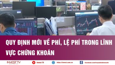 Quy định mới về phí, lệ phí trong lĩnh vực chứng khoán