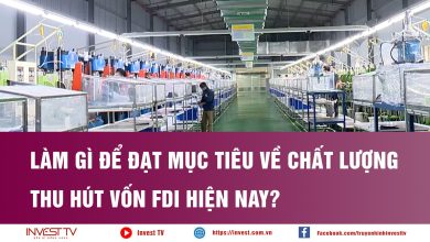 Làm gì để đạt mục tiêu về chất lượng thu hút vốn FDI hiện nay? Làm gì để đạt mục tiêu về chất lượng thu hút vốn FDI hiện nay?