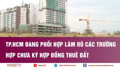 TP HCM đang phối hợp làm rõ các trường hợp chưa ký hợp đồng thuê đất
