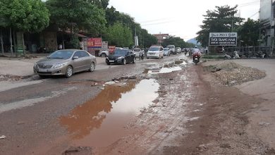 Lựa chọn nhà thầu Dự án Cải tạo, nâng cấp Quốc lộ 31