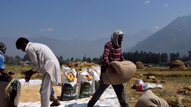 Gạo lên cơn "sốt giá", các quốc gia nào sẽ gặp khó? Gạo lên cơn "sốt giá", các quốc gia nào sẽ gặp khó?