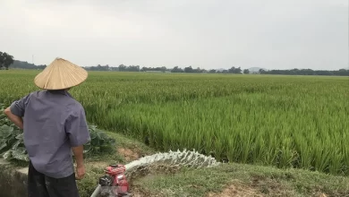 Trường đua ngựa trăm triệu USD đang ở đâu? Trường đua ngựa trăm triệu USD đang ở đâu?