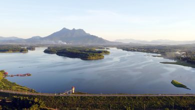 Ba Vì: Tổng giá trị sản xuất 6 tháng đầu năm tăng 10% so với cùng kỳ