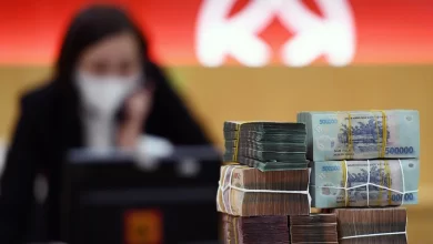 Ngân hàng Nhà nước rút tiền về