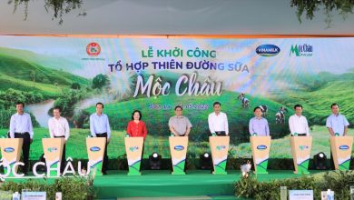 'Thiên đường sữa Mộc Châu' - sự kết hợp của 2 ông lớn ngành sữa