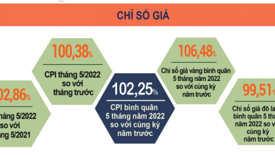 Lạm phát, tỷ giá và dự phòng