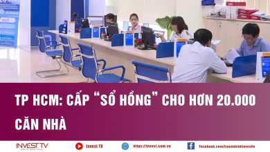 TP HCM: Cấp “sổ hồng” cho hơn 20 000 căn nhà
