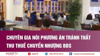 Chuyên gia nói phương án tránh thất thu thuế chuyển nhượng BĐS Chuyên gia nói phương án tránh thất thu thuế chuyển nhượng BĐS