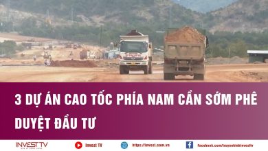 3 dự án cao tốc phía nam cần sớm phê duyệt đầu tư 3 dự án cao tốc phía nam cần sớm phê duyệt đầu tư