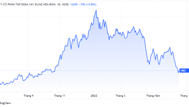Chủ tịch Tập đoàn Hòa Bình muốn 'đỡ' giá cổ phiếu Chủ tịch Tập đoàn Hòa Bình muốn 'đỡ' giá cổ phiếu