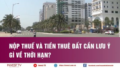 Nộp thuế và tiền thuê đất cần lưu ý gì về thời hạn? Nộp thuế và tiền thuê đất cần lưu ý gì về thời hạn?