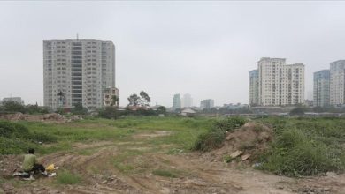 Thanh tra đất đai tại 11 quận, huyện Hà Nội Thanh tra đất đai tại 11 quận, huyện Hà Nội