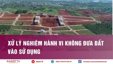 Xử lý nghiêm hành vi không đưa đất vào sử dụng