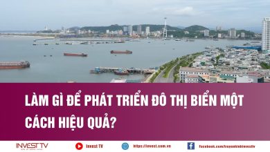 Làm gì để phát triển đô thị biển một cách hiệu quả?