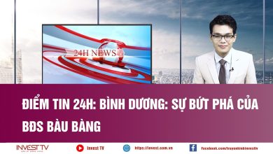 Điểm tin 24h - Bình Dương: Sự bứt phá của BĐS Bàu Bàng Điểm tin 24h - Bình Dương: Sự bứt phá của BĐS Bàu Bàng