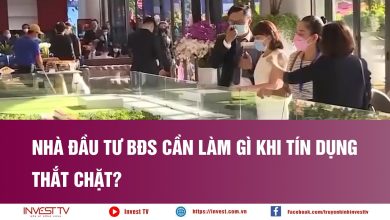 Nhà đầu tư BĐS cần làm gì khi tín dụng thắt chặt?