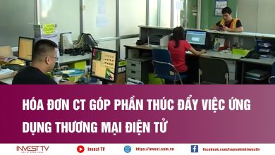 Hóa đơn CT góp phần thúc đẩy việc ứng dụng thương mại điện tử Hóa đơn CT góp phần thúc đẩy việc ứng dụng thương mại điện tử