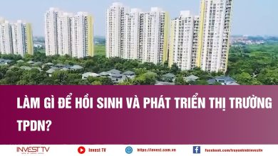 Làm gì để hồi sinh và phát triển thị trường TPDN
