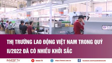Thị trường lao động Việt Nam trong quý II/2022 đã có nhiều khởi sắc Thị trường lao động Việt Nam trong quý II/2022 đã có nhiều khởi sắc