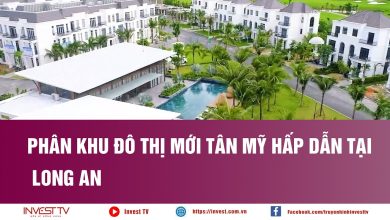 Phân khu đô thị mới Tân Mỹ hấp dẫn tại Long An Phân khu đô thị mới Tân Mỹ hấp dẫn tại Long An