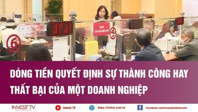 Dòng tiền quyết định sự thành công hay thất bại của một doanh nghiệp