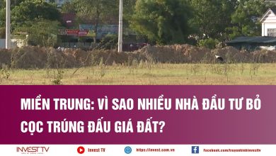 Miền Trung: Vì sao nhiều nhà đầu tư bỏ cọc trúng đấu giá đất? Miền Trung: Vì sao nhiều nhà đầu tư bỏ cọc trúng đấu giá đất?