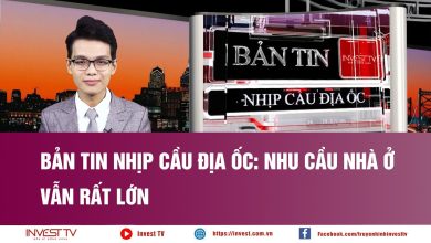Bản tin Nhịp cầu địa ốc: Nhu cầu nhà ở vẫn rất lớn