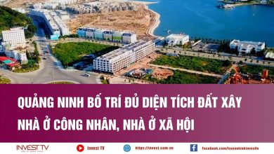 Quảng Ninh bố trí đủ diện tích đất xây nhà ở công nhân, nhà ở xã hội