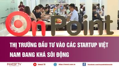 Thị trường đầu tư vào các startup Việt Nam đang khá sôi động