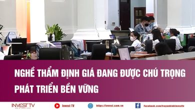 Nghề thẩm định giá đang được chú trọng phát triển bền vững