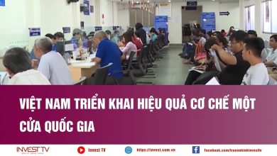Việt Nam triển khai hiệu quả Cơ chế một cửa quốc gia