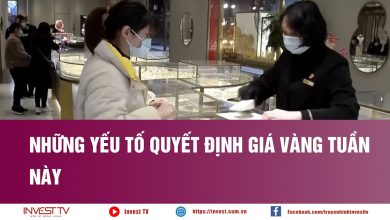 Những yếu tố quyết định giá vàng tuần này