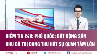 Điểm tin 24h - Phú Quốc: Bất động sản khu đô thị đang thu hút sự quan tâm lớn