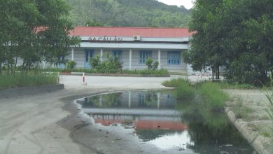 Hoang tàn, vắng lặng tại “cung đường vàng" nghìn tỷ Hạ Long – Hà Nội