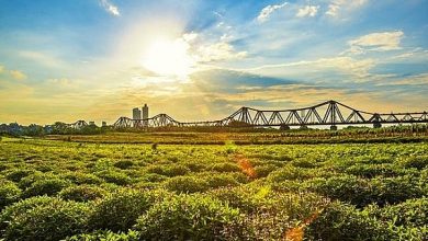 Công viên bãi giữa Sông Hồng: Giải quyết ba “bài toán khó”