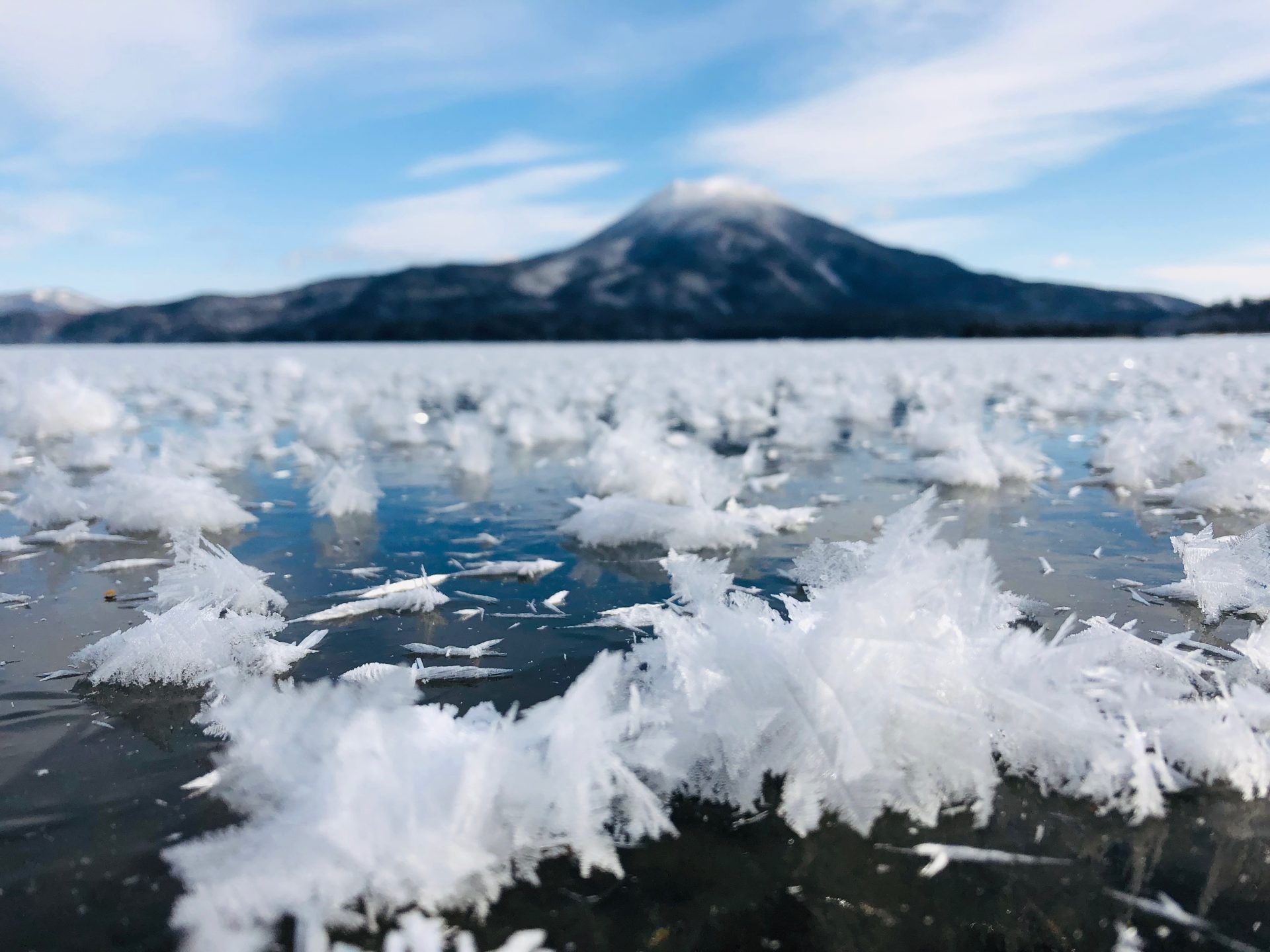 Hiện tượng hồ nở hoa băng ở Nhật