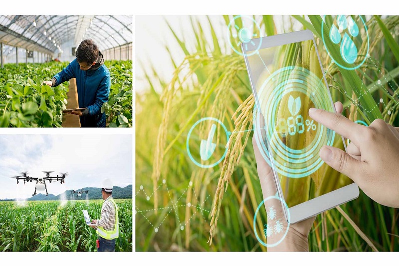 Chủ động chuyển đổi số là sáng tạo trong kinh doanh